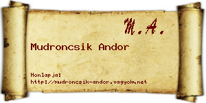 Mudroncsik Andor névjegykártya
